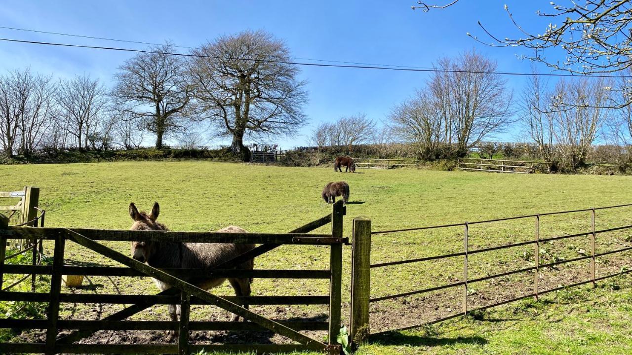 Beachborough Country House Barnstaple Bagian luar foto