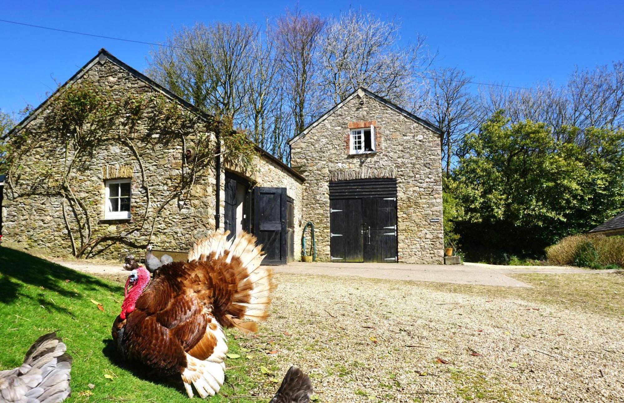 Beachborough Country House Barnstaple Bagian luar foto